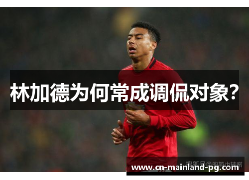 林加德为何常成调侃对象？