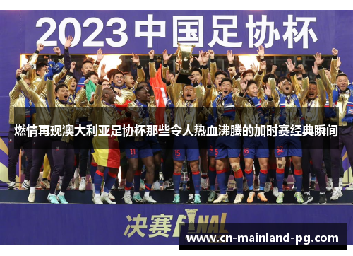 燃情再现澳大利亚足协杯那些令人热血沸腾的加时赛经典瞬间