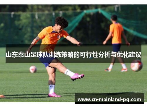 山东泰山足球队训练策略的可行性分析与优化建议