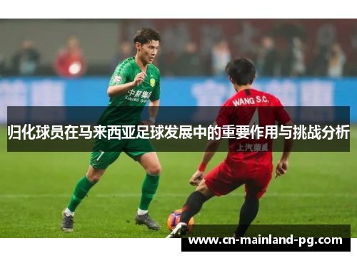 归化球员在马来西亚足球发展中的重要作用与挑战分析