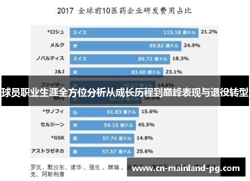 球员职业生涯全方位分析从成长历程到巅峰表现与退役转型