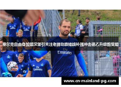 塞尔克自由身加盟汉堡引关注老牌劲旅锋线补强冲击德乙升级前受期