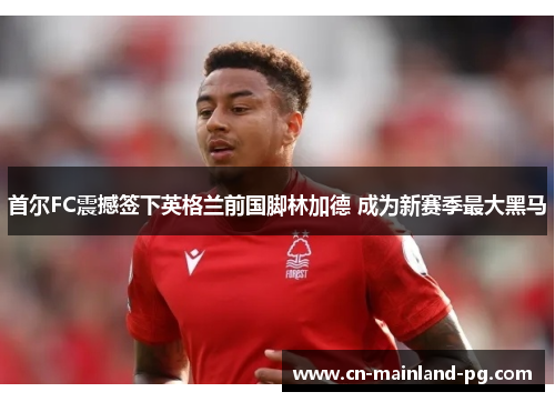 首尔FC震撼签下英格兰前国脚林加德 成为新赛季最大黑马 首尔FC震撼签下英格兰前国脚林加德 成为新赛季最大黑马