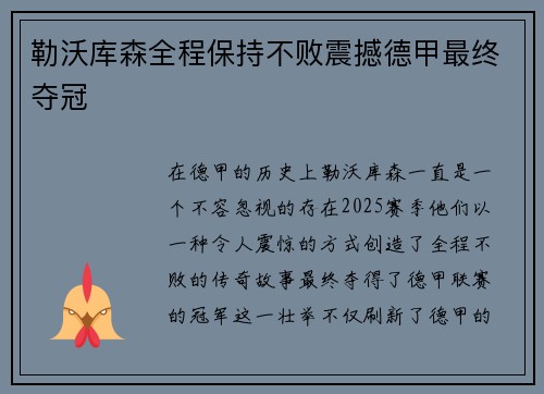勒沃库森全程保持不败震撼德甲最终夺冠