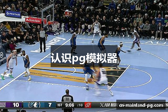 认识pg模拟器